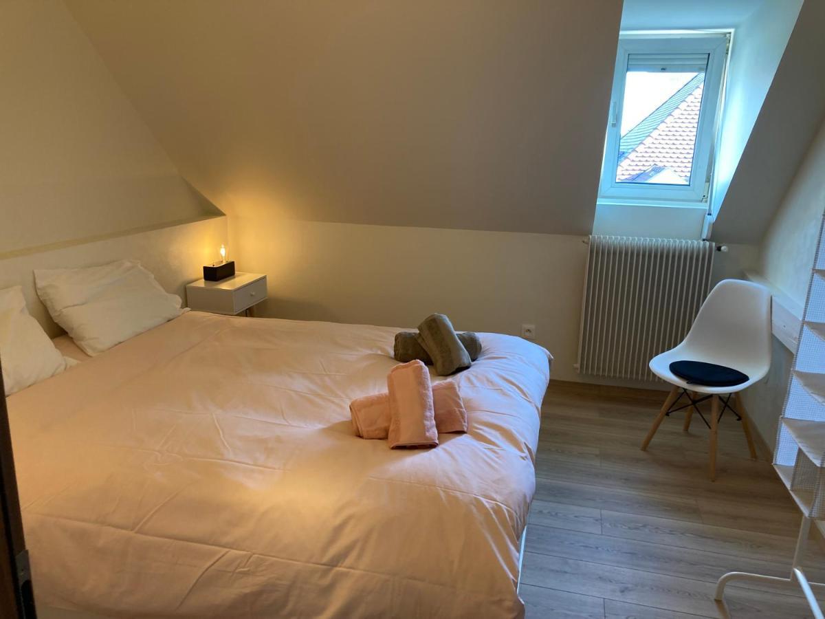 Les Moulins Tres Agreable Et Idealement Situe Apartman Colmar Kültér fotó